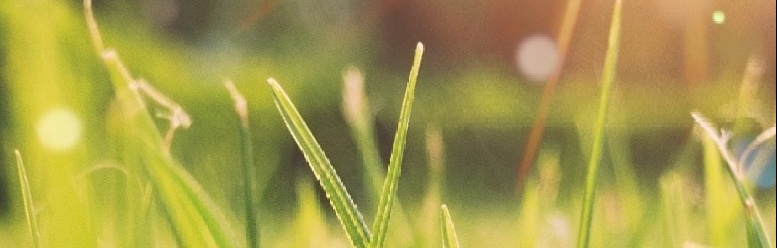 banner image